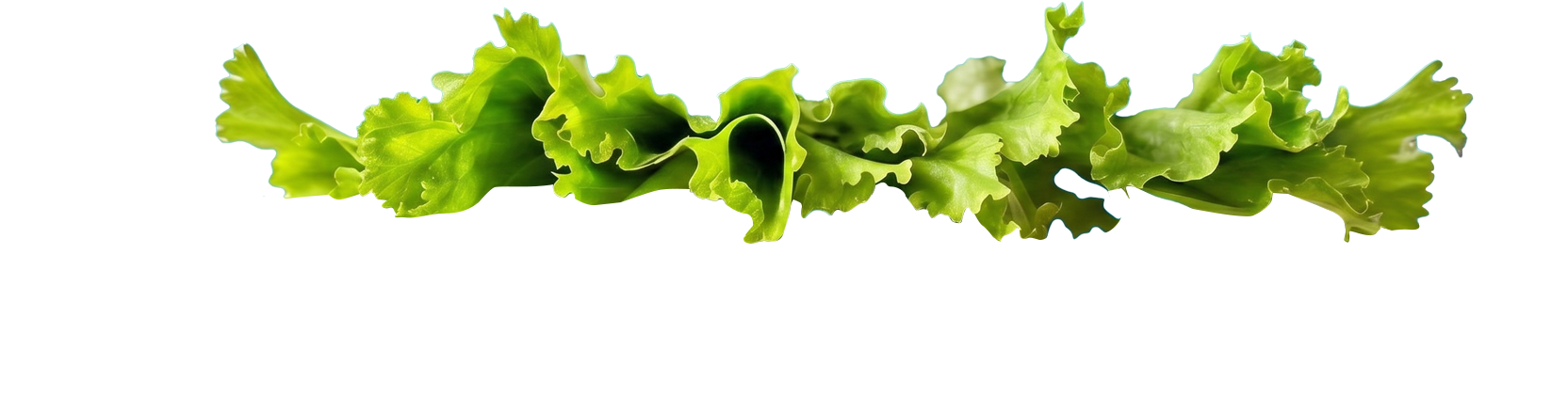 salade